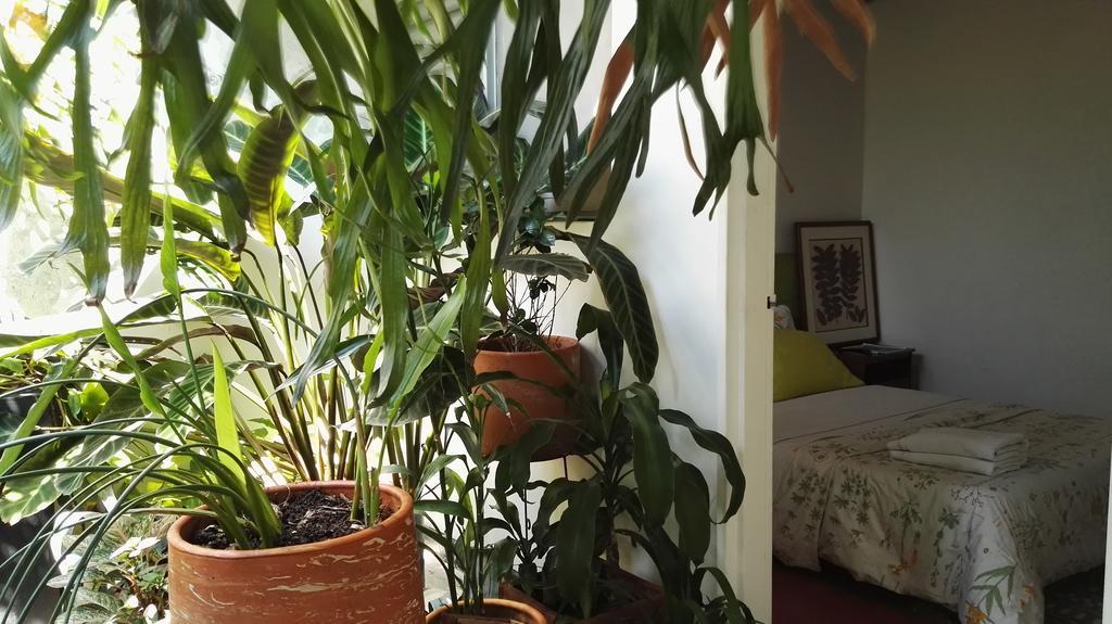 Saman Hostel מדיין מראה חיצוני תמונה