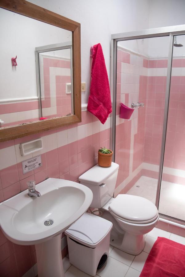 Saman Hostel מדיין מראה חיצוני תמונה